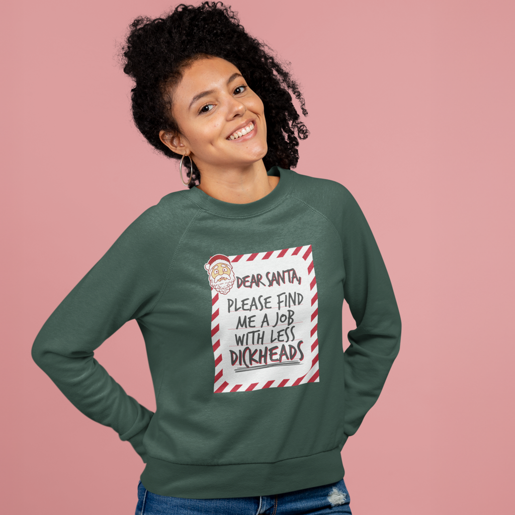 Dear Santa Funny Christmas Jumper