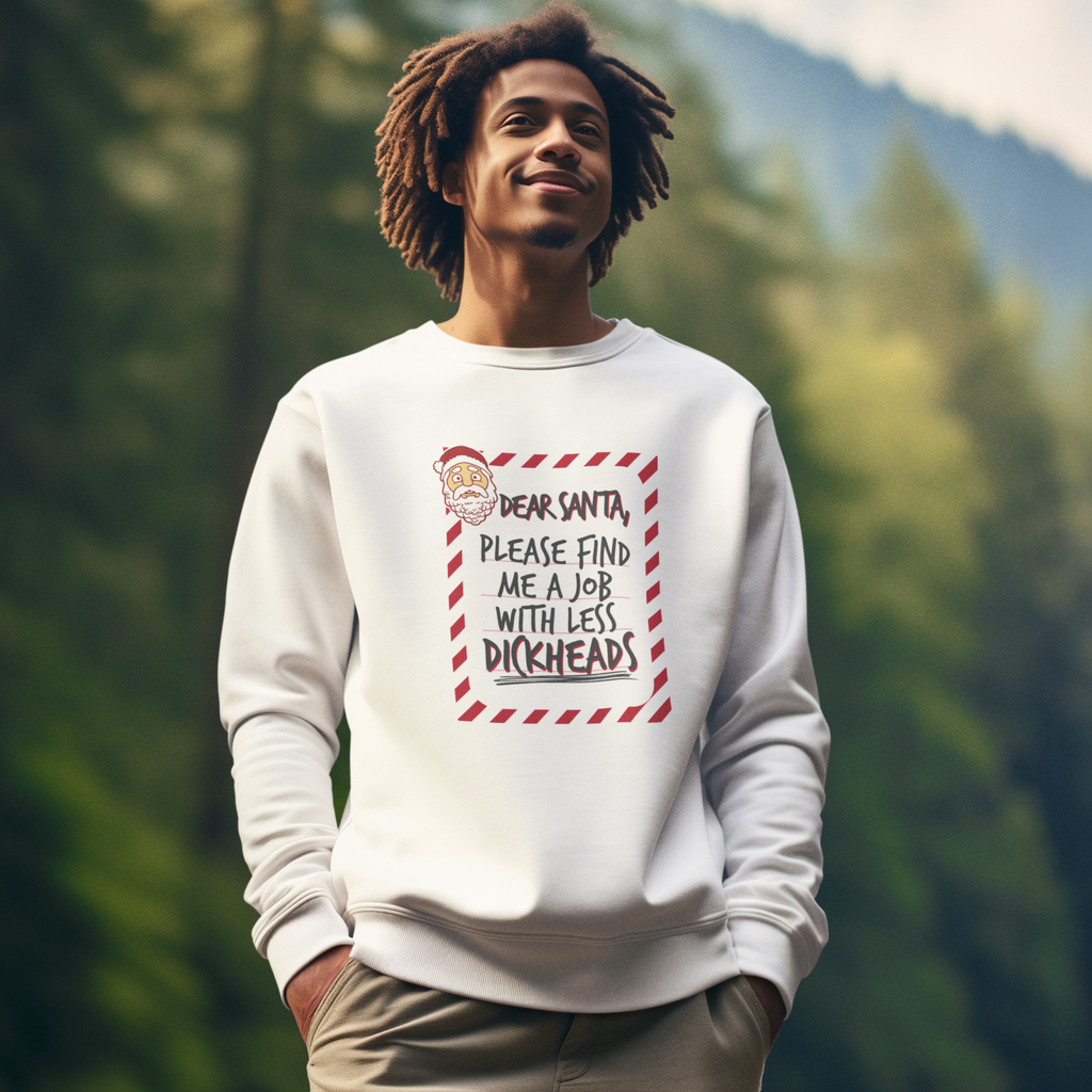 Dear Santa Funny Christmas Jumper